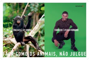 Macaco e um animal (1)